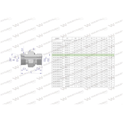 Przyłączka hydrauliczna (odmiana ciężka XGE) BB M18x1.5 10S x 1/2" BSP ED Waryński ( sprzedawane po 5 )-347889807