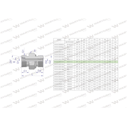 Przyłączka hydrauliczna (odmiana ciężka XGE) BB M20x1.5 12S x 3/8" BSP ED Waryński ( sprzedawane po 5 )-347461493