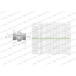 Przyłączka hydrauliczna (odmiana ciężka XGE) BB M20x1.5 12S x 1/2" BSP ED Waryński ( sprzedawane po 5 )-347461499