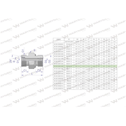 Przyłączka hydrauliczna (odmiana ciężka XGE) BB M22x1.5 14S x 3/8" BSP ED Waryński ( sprzedawane po 5 )-347889830
