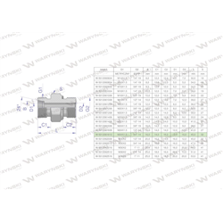 Przyłączka hydrauliczna (odmiana ciężka XGE) BB M24x1.5 16S x 3/4" BSP ED Waryński ( sprzedawane po 2 )-347461526