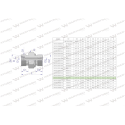 Przyłączka hydrauliczna (odmiana ciężka XGE) BB M30x2 20S x 1/2" BSP ED Waryński ( sprzedawane po 2 )-347461532