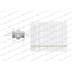 Przyłączka hydrauliczna (odmiana ciężka XGE) BB M30x2 20S x 3/4" BSP ED Waryński ( sprzedawane po 2 )-347461538
