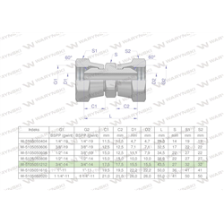 Złączka hydrauliczna calowa AA 3/4" BSP Waryński-347459982