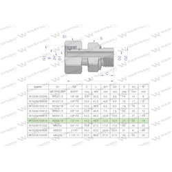 Przyłączka hydrauliczna AB (EVGE) M26x1.5 18L x 1/2" BSP ED Waryński-347460183