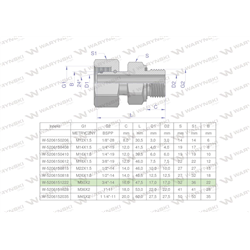 Przyłączka hydrauliczna AB (EVGE) M30x2 22L x 3/4" BSP ED Waryński-347460189