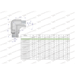 Kolanko hydrauliczne nastawne calowe BB 1/4" x 1/4" BSP z regulacją Waryński-347890535