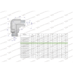 Kolanko hydrauliczne nastawne calowe BB 3/8" x 3/8" BSP z regulacją Waryński-347459774