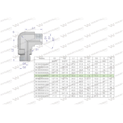 Kolanko hydrauliczne nastawne calowe BB 3/8" x 1/2" BSP z regulacją Waryński-347888106