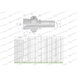 Zakucie hydrauliczne AGR DN25 1 1/4"-11 PREMIUM Waryński-347895448