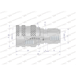 Szybkozłącze hydrauliczne skręcane wtyczka G1/4"BSP gwint wewnętrzny 350bar Waryński-347450869