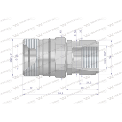 Szybkozłącze hydrauliczne skręcane gniazdo G3/4"BSP gwint wewnętrzny 250bar Waryński-347879213