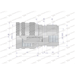 Szybkozłącze hydrauliczne skręcane wtyczka G3/4"BSP gwint wewnętrzny 250bar Waryński-347450880