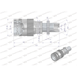 Szybkozłącze hydrauliczne gniazdo long z eliminatorem ciśnienia M20x1.5 gwint zewnętrzny EURO PUSH-PULL (ISO 7241-A) Waryński-34