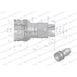 Szybkozłącze hydrauliczne gniazdo M22x1.5 gwint zewnętrzny EURO (9100822G) (ISO 7241-A) Waryński-347875246
