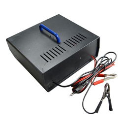 Prostownik 12V/20A Hertz-347447961