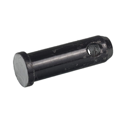 SWORZEŃ CIĘGŁA DOLNEGO MF-3-347175622