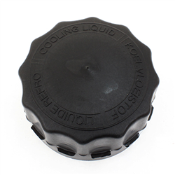KOREK ZBIORNIKA WYRÓWNAWCZEGO DAF 95XF M72X4/80MM-347563580
