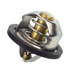 TERMOSTAT MULTICAR M25-347567919