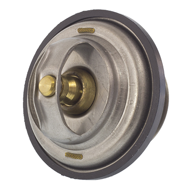 TERMOSTAT ZETOR FORTERRA, MF, PORSCHE 80°C-347573524
