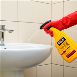 ODKAMIENIACZ DO GRUNTOWNEGO MYCIA ŁAZIENEK - ERLA SANIZ MAX 750ml-347599519