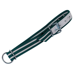 Obroża dla bydła Classic, 130 x 4 cm, biały/zielony, Kerbl-347548458