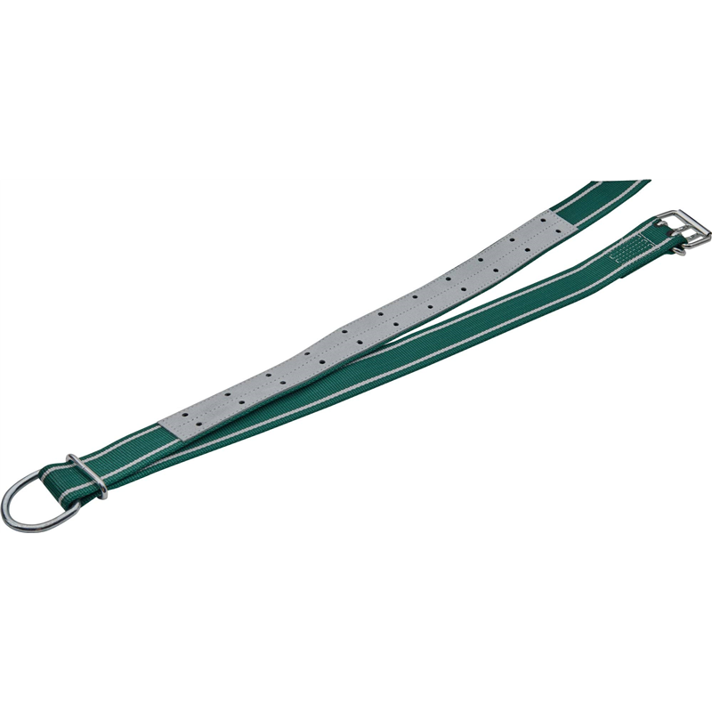 Obroża dla byka Classic, 150 x 5 cm, biały/zielony, Kerbl-347763321