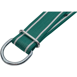 Obroża dla byka Classic, 150 x 5 cm, biały/zielony, Kerbl-347549616