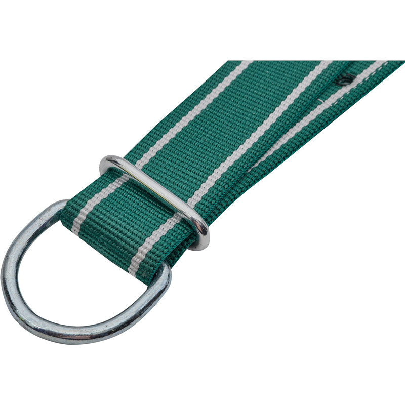 Obroża dla byka Classic, 150 x 5 cm, biały/zielony, Kerbl-347549616