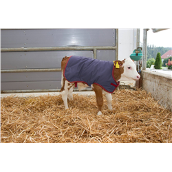 Derka dla cielaka Termoplus, 70 cm, granatowa, Kerbl-347548400
