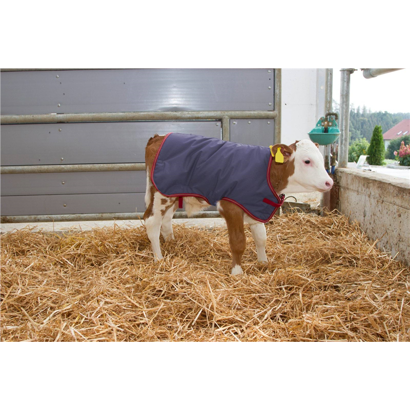 Derka dla cielaka Termoplus, 70 cm, granatowa, Kerbl-347548400