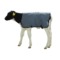 Derka dla cielaka Ripstopp, 70cm, szara, Kerbl-347549240