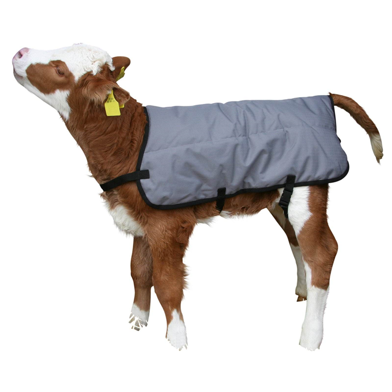 Derka dla cielaka Ripstopp, 70cm, szara, Kerbl-347762941