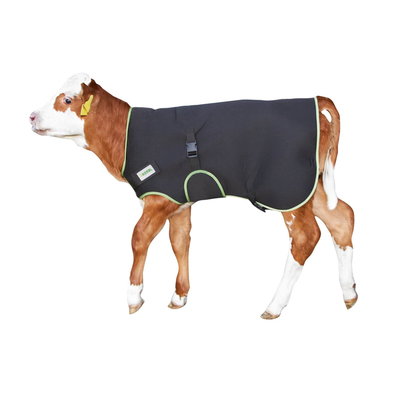 Derka dla cielaka Premium, 80 cm, czarna, Kerbl-347762680