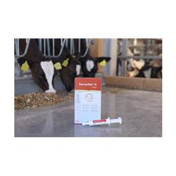 Pasta żelazowa Ferrovital-K 6x20 ml, Agrochemica-347926188
