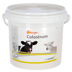 Dodatek do siary Globigen Colostrum, 1 kg, EW Nutrition-347925513