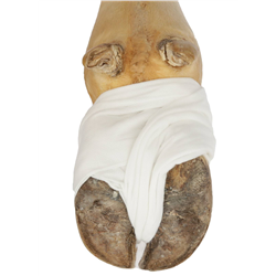 Kompresy opatrunkowe, 10 cm x 5 m, Kerbl-347765838