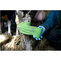 Samoprzylepny bandaż EquiLastic, 7,5 cm, zielony, Kerbl-347552011