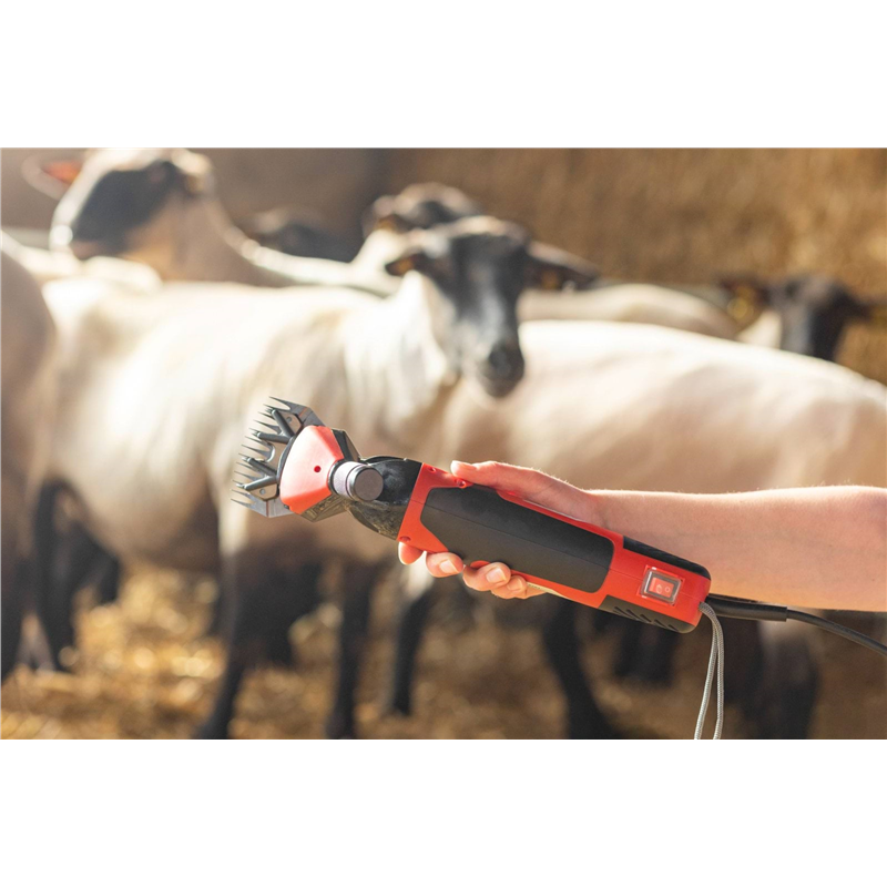 Maszynka do strzyżenia owiec FarmClipper Profi, 6 biegowa, czerwony, Clipster-347764787