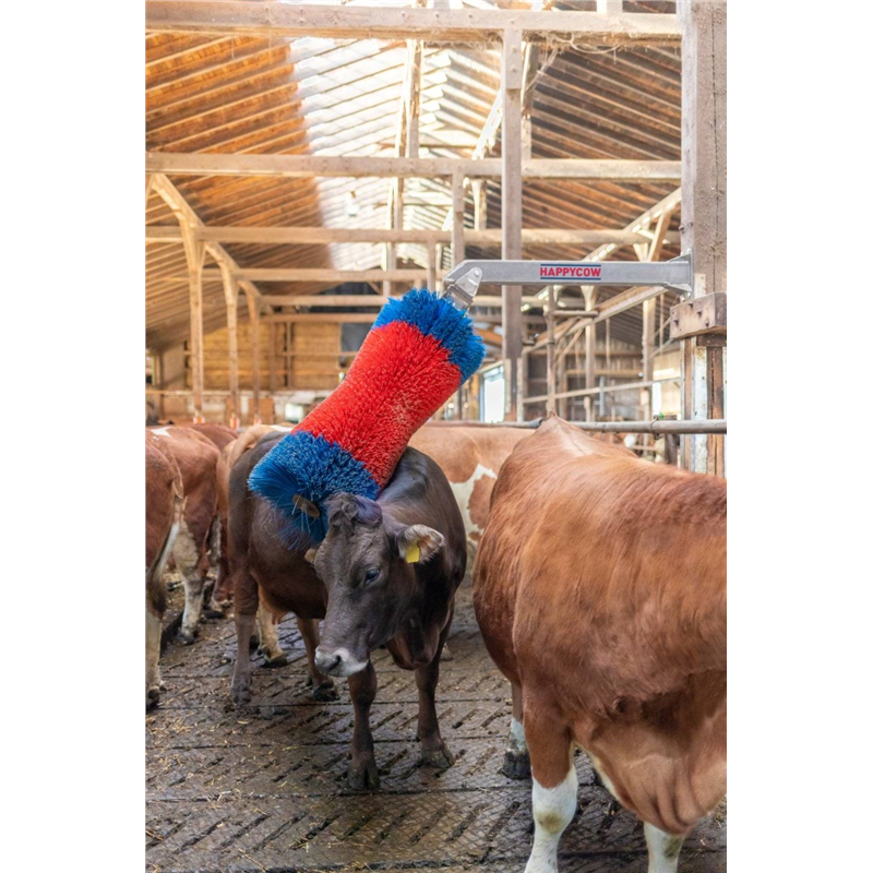 Czochradło HAPPYCOW Maxi, Kerbl-347763074