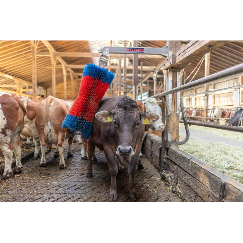 Czochradło HAPPYCOW Maxi, Kerbl-347549372