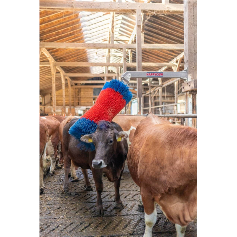 Czochradło HAPPYCOW Maxi, Kerbl-347549371