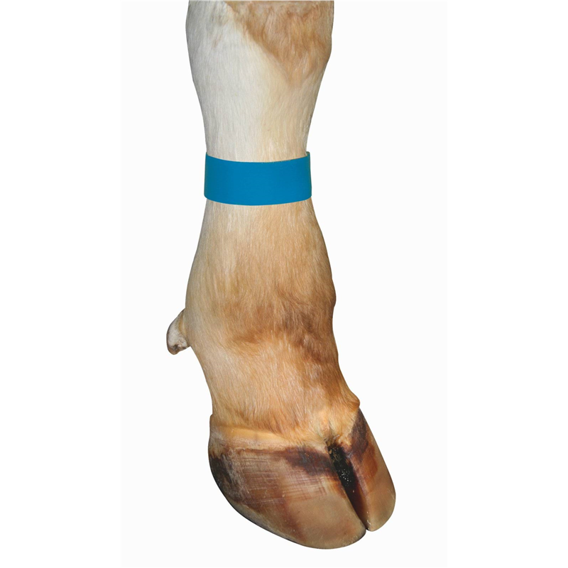 Opaska identyfikacyjna zapinana na rzep, tekstylna, 36 cm, 10 szt., niebieska, Kerbl-347549566