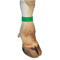 Opaska identyfikacyjna zapinana na rzep, 36 cm, tekstylna, 10 szt., zielona, Kerbl-347762009