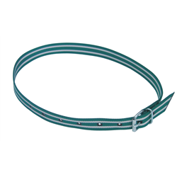 Obroża identyfikacyjna, 120 cm, zielony/biały, Kerbl-347911488
