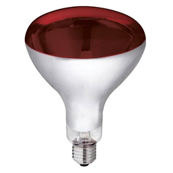 Promiennik podczerwieni, żarówka 150 W, czerwona, szkło hartowane, Kerbl-347763352