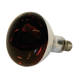 Promiennik podczerwieni, żarówka 250 W, czerwona, szkło hartowane, Kerbl-347548854