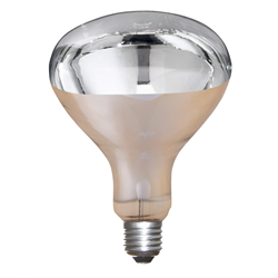 Promiennik podczerwieni, żarówka 250 W, biala, szkło hartowane, Kerbl-347763255