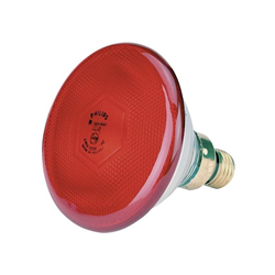 Promiennik podczerwieni, żarówka 175 W, PAR38, czerwona, Philips-347549631