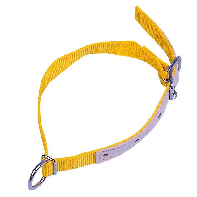 Obroża dla owiec i kóz, żółta, 60 cm-347763445